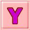 Y 