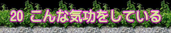 20 こんな気功をしている