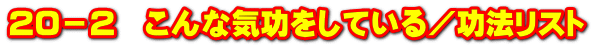 20－2　こんな気功をしている／功法リスト
